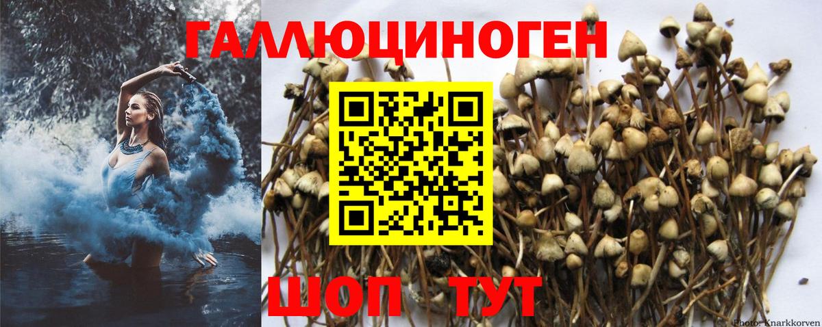 Ишимбай  продажа наркотиков  Галлюциногенные грибы мухоморы  Вход с VPN  Псилоцибиновые грибы мухоморы 