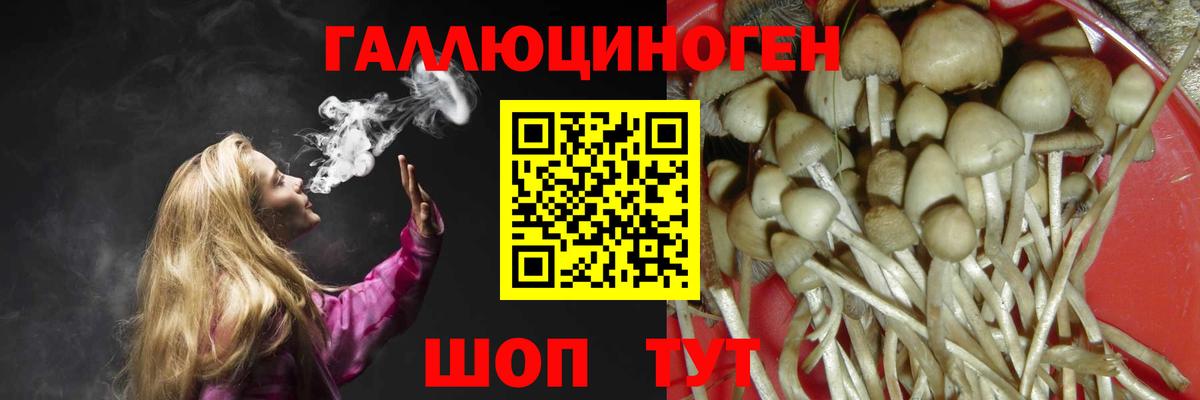 Псилоцибиновые грибы MAGIC MUSHROOMS Ишимбай